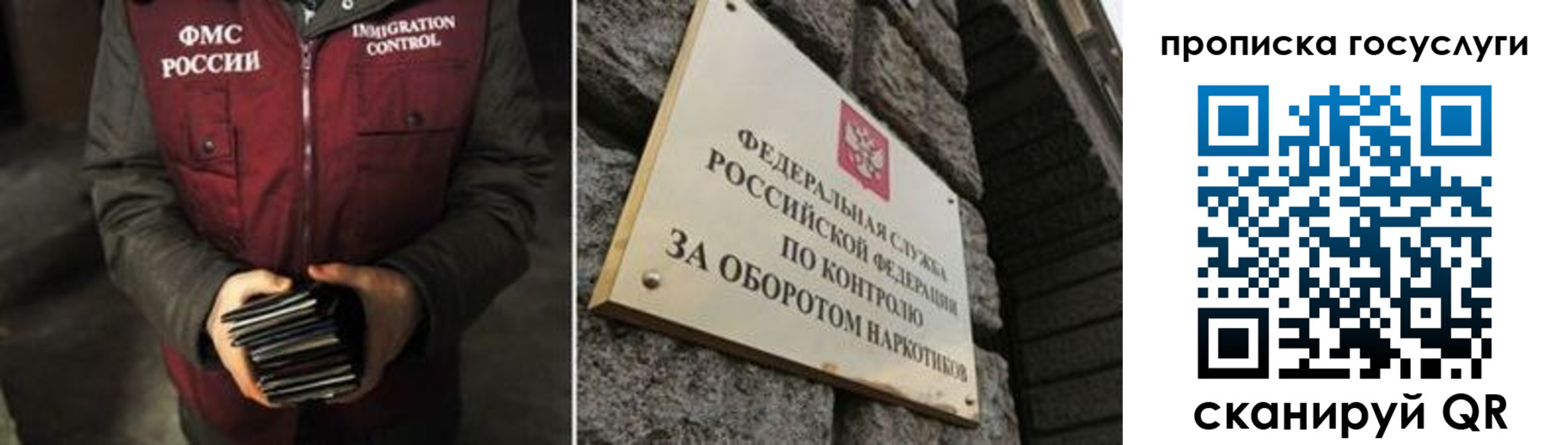 временная регистрация поиск в Петропавловске-Камчатском